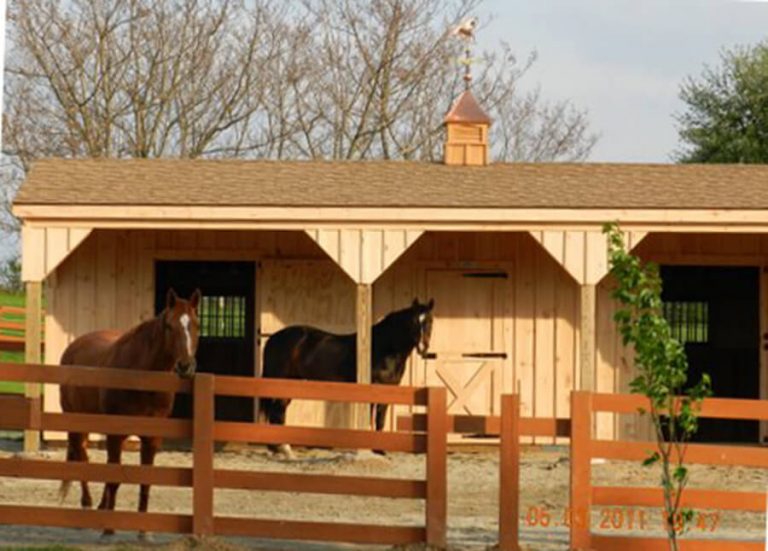 Horse Stall Dimensions and Sizes Run In Horse Sheds