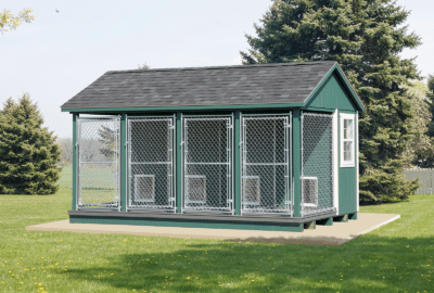 10×16 Kennel