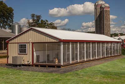 20×60 Kennel