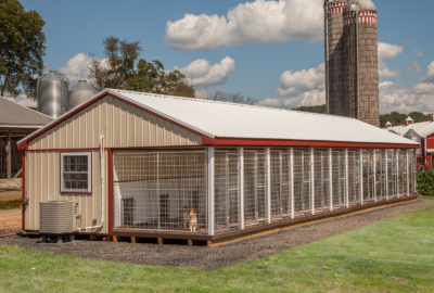 20×60 Kennel