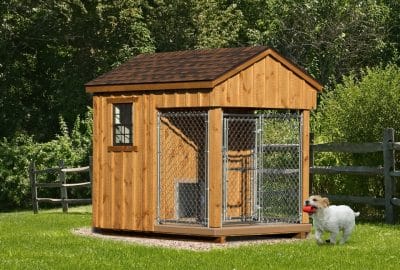 6x8 Kennel