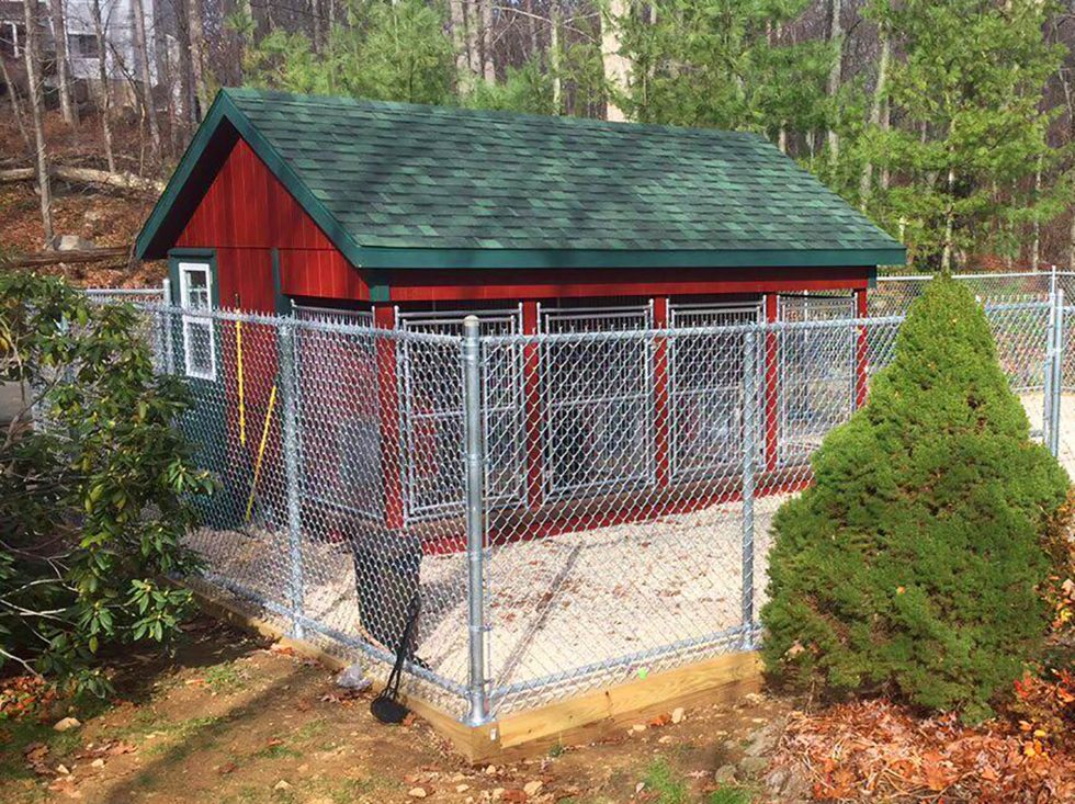 5 Tips for When You Buy Dog Kennels Horizon Structures