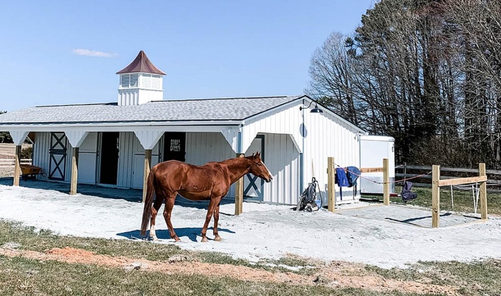 Horse Stable Color Ideas Horse Barn Color Schemes