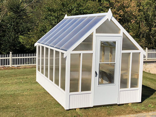 Should You Put Chickens in Your Greenhouse?