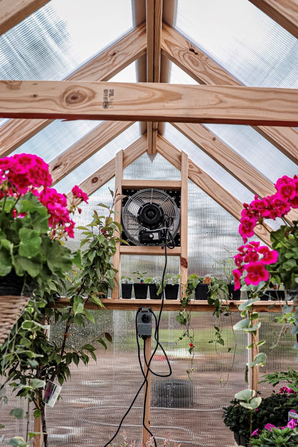 Outdoor Living - 8x12 - Greenhouse - Image 2