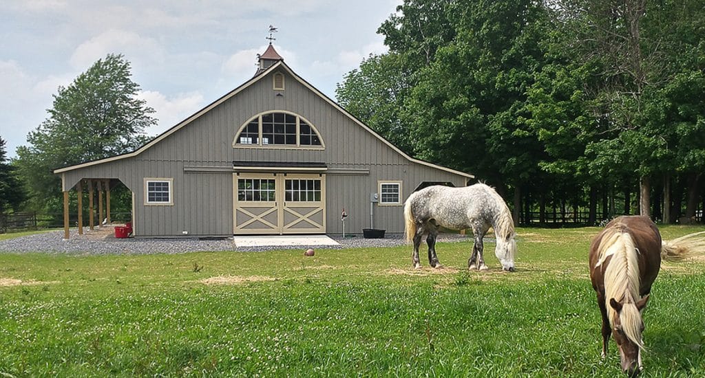 barn-36x48 HP_FB