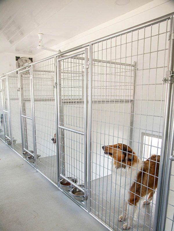 Dog Kennel Design for Optimal Cleaning Horizon Structures