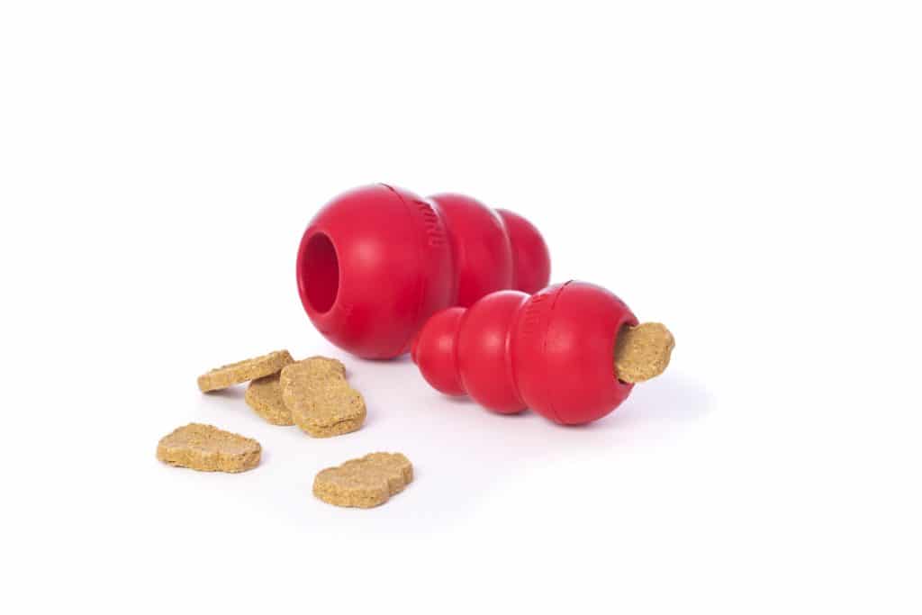 How to Prevent Dog Boredom During Kennel Time Horizon Structures