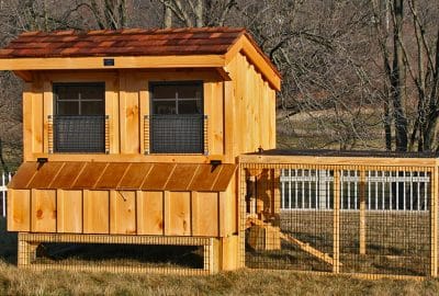 5x6 Chicken Coop with pine board & batten (clear stained) exterior