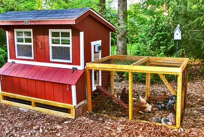 5x6 Chicken Coop shown optional chicken run and automatic chicken door