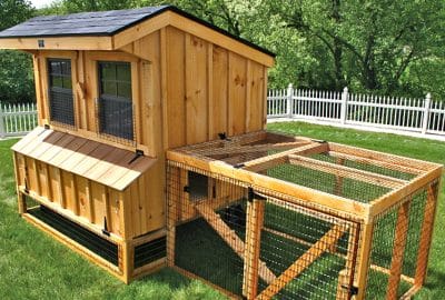 5x6 chicken coop. This (optional) chicken run includes 2 hinged access doors