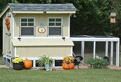 Cute customized Quaker coop with run