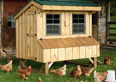 Quaker coop with pine siding and metal roof