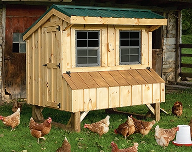 Quaker coop with pine siding and metal roof