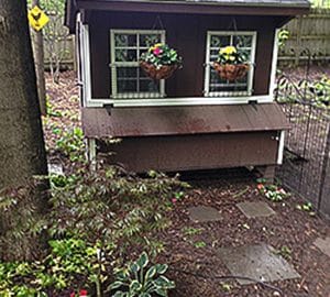 Quaker coop in a lovely garden setting