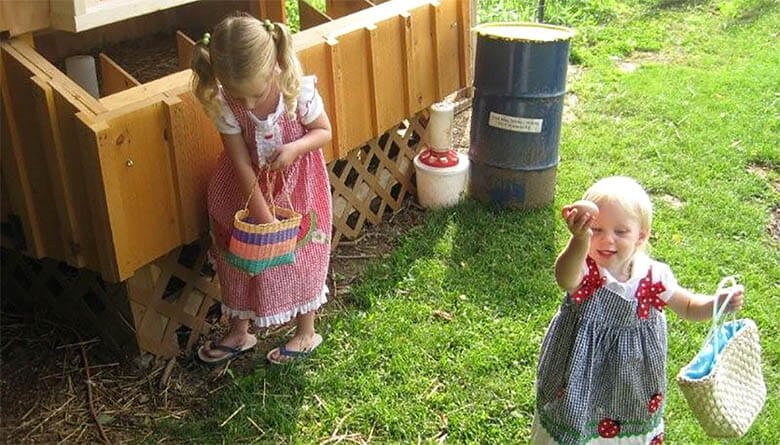 Kids Collecting Fresh Eggs