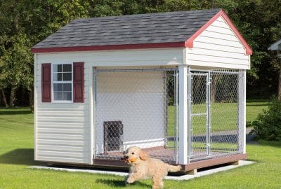 8x10 Kennel