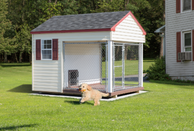 8×10 Kennel