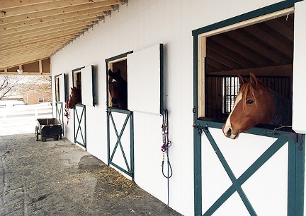 The Low Down On Horse Stall Kickboards, Horse Stall Twin Beds