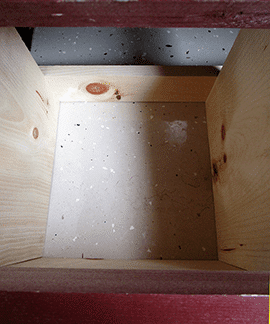 Horizon Structures Mini Coop 2 Open Nest Box