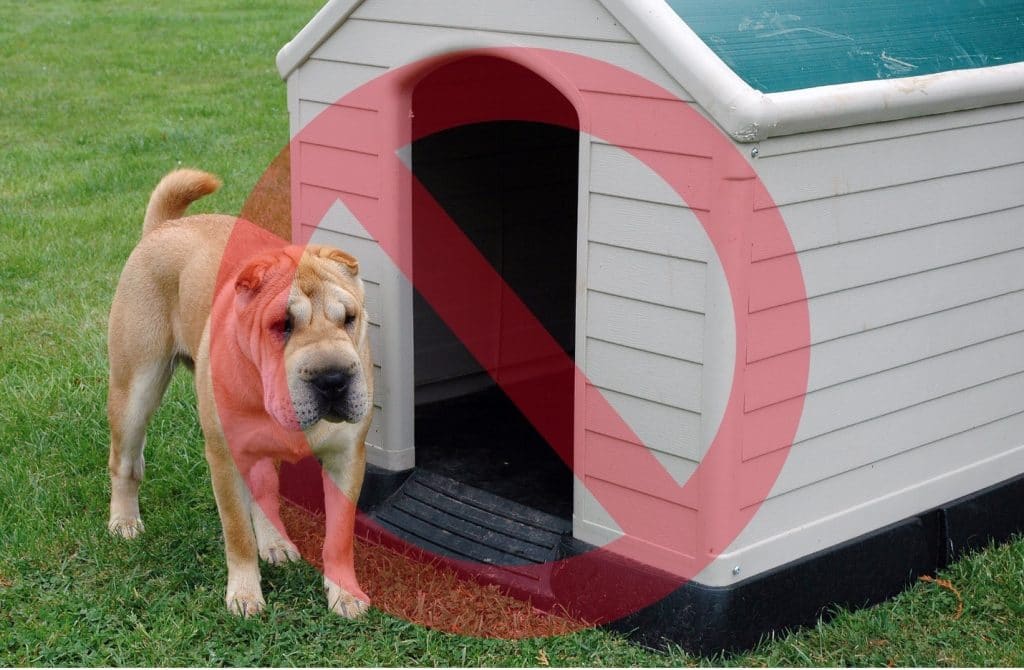 dog plastic house