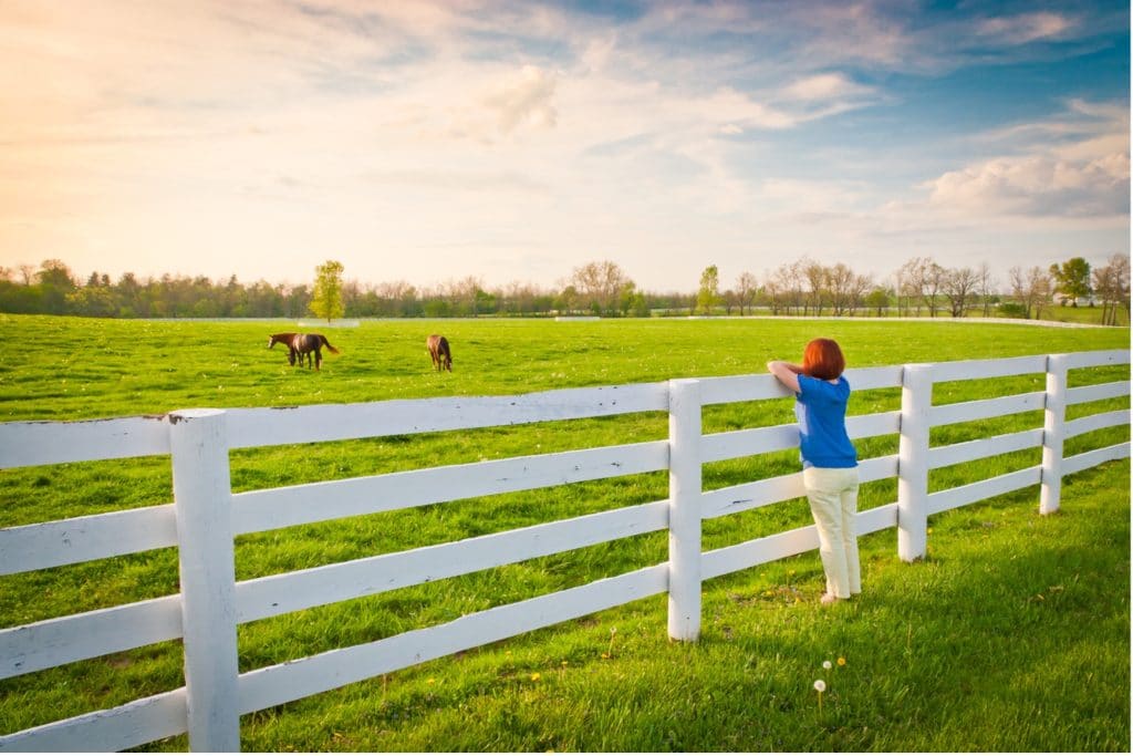 horse pasture