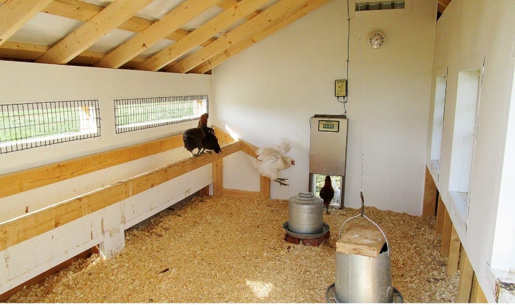 chicken coop interior