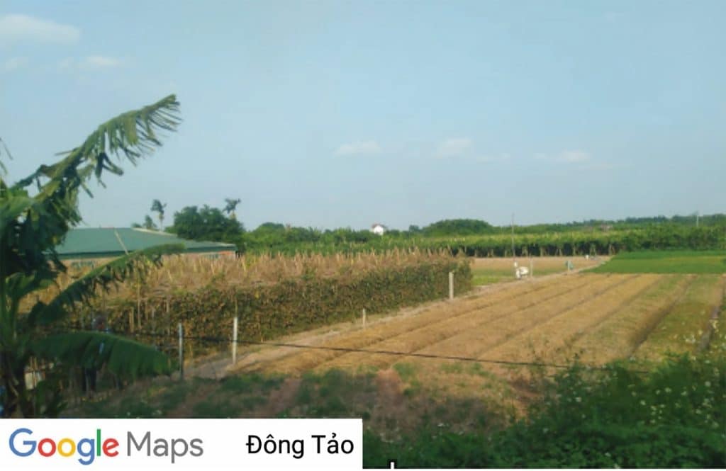 dong tao map