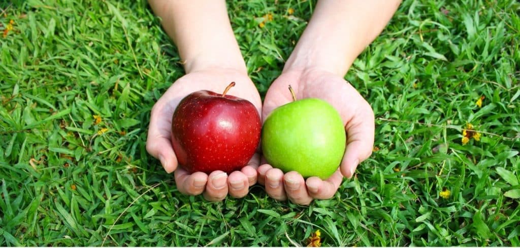 apples in hands