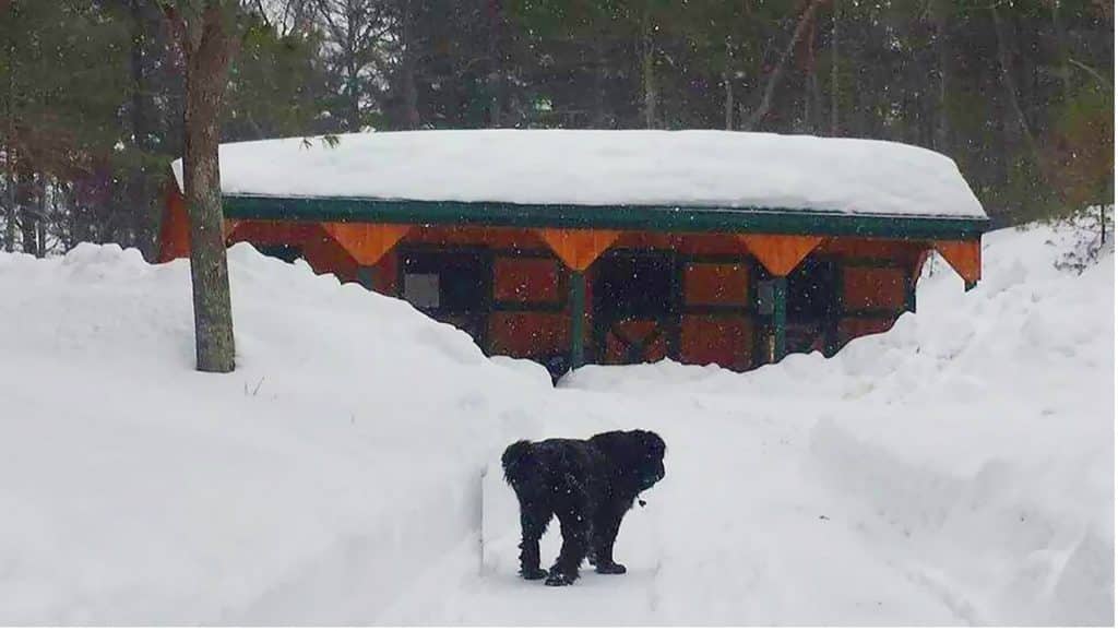 barn in snow