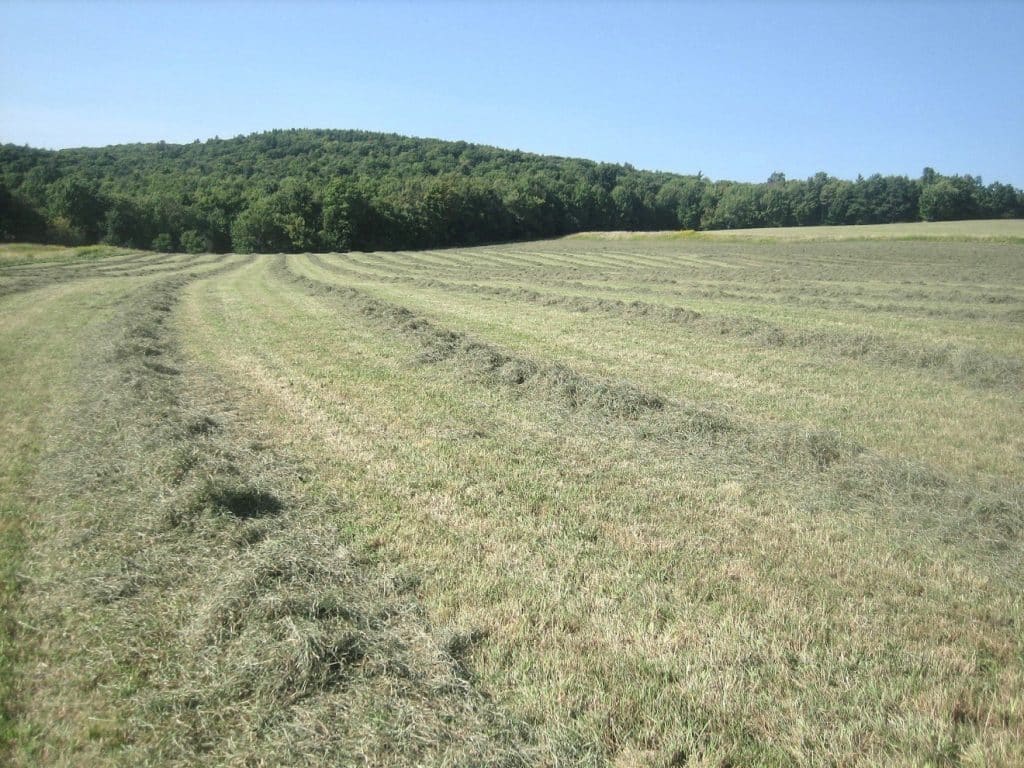 field