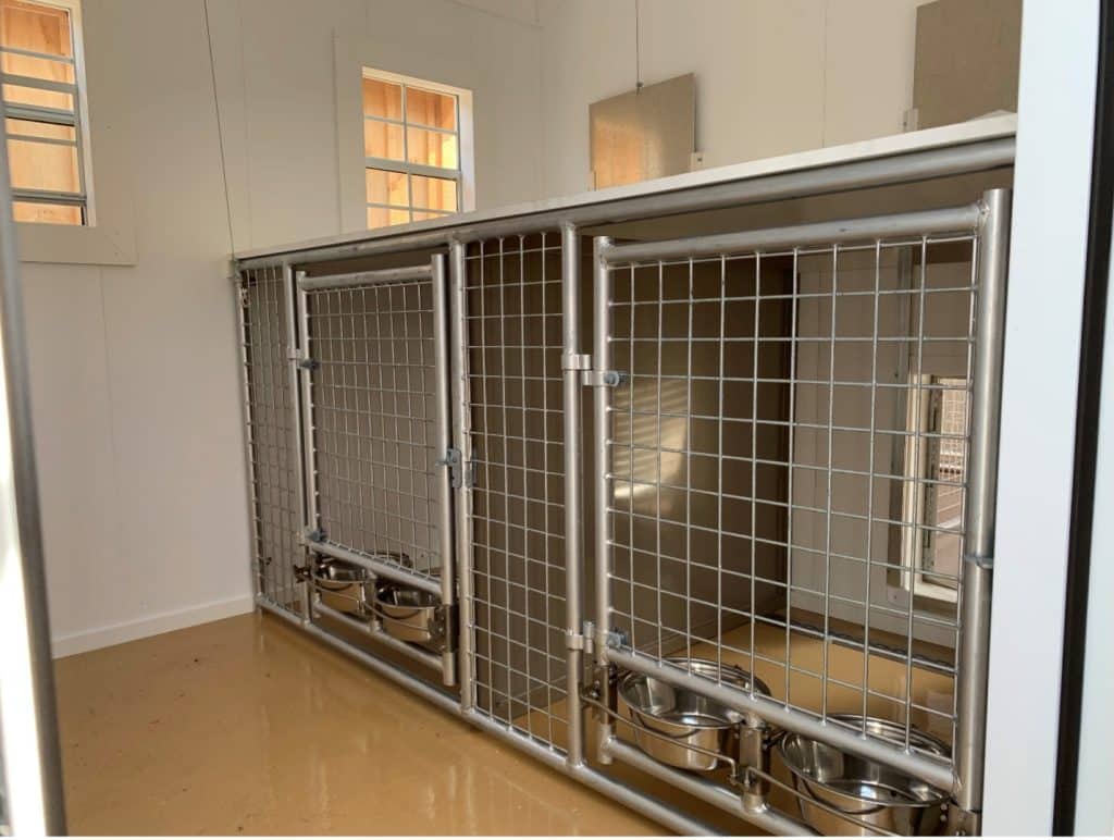 inside dog kennel