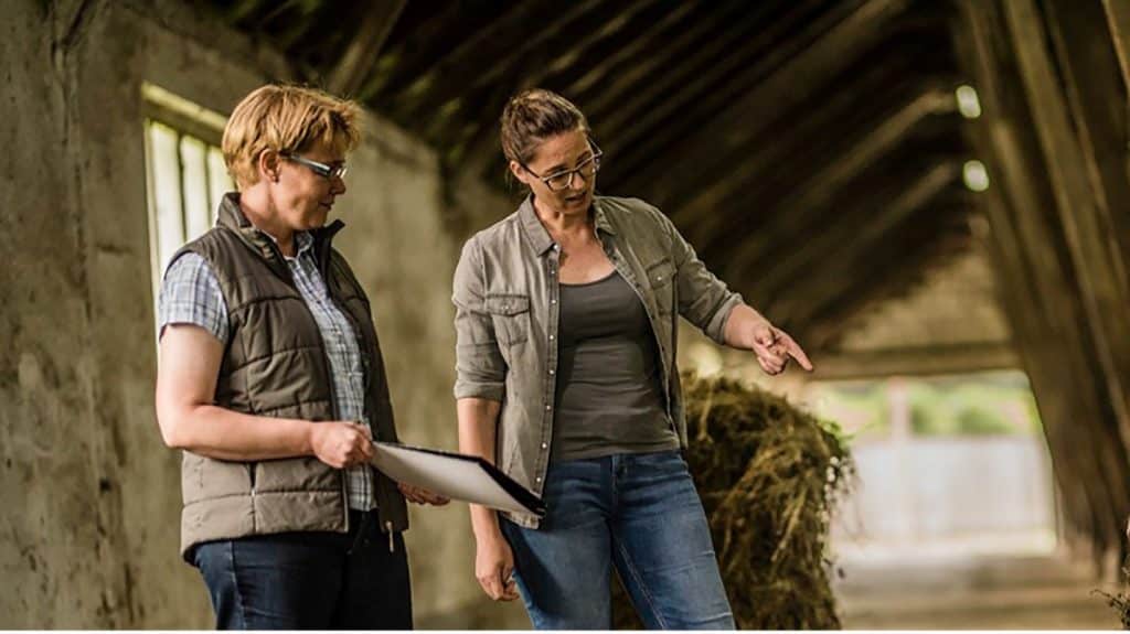 inspecting barn