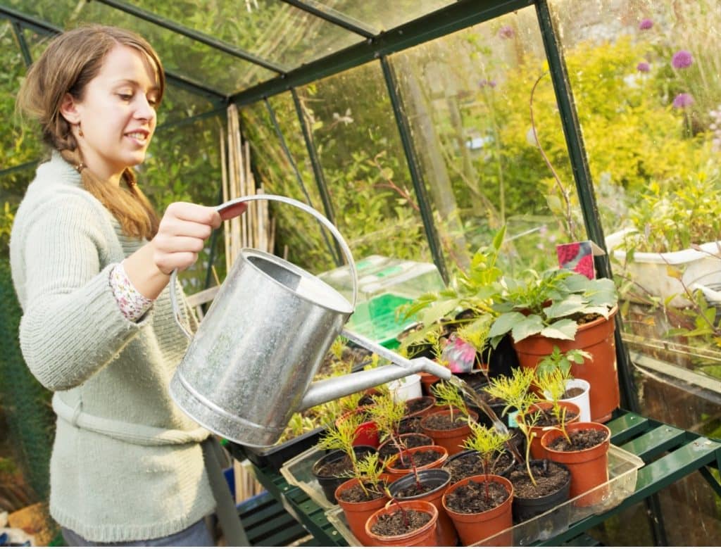 lady watering plants