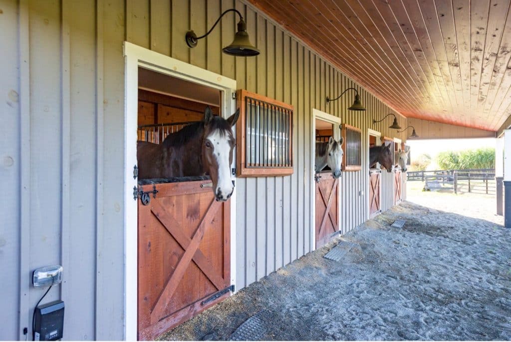 barn with horses