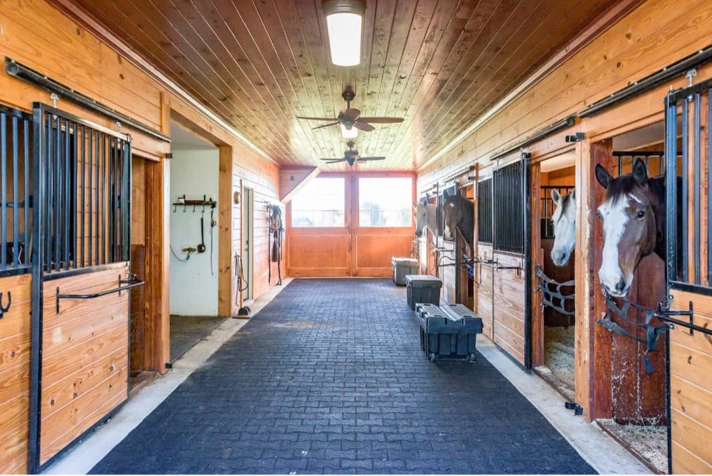 interior of horse barn with horses