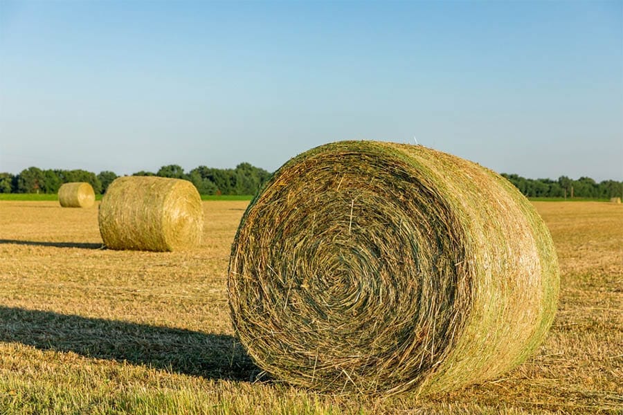 Think Safety First When Handling Large Hay Bales