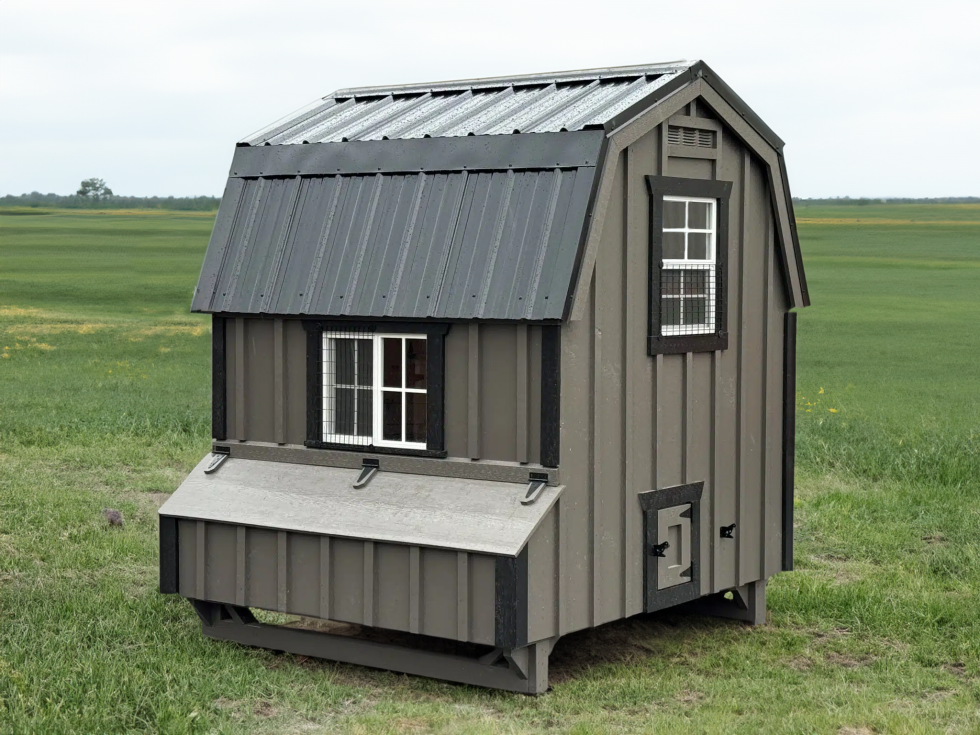6x6 Dutch Coop - Black Metal Roof