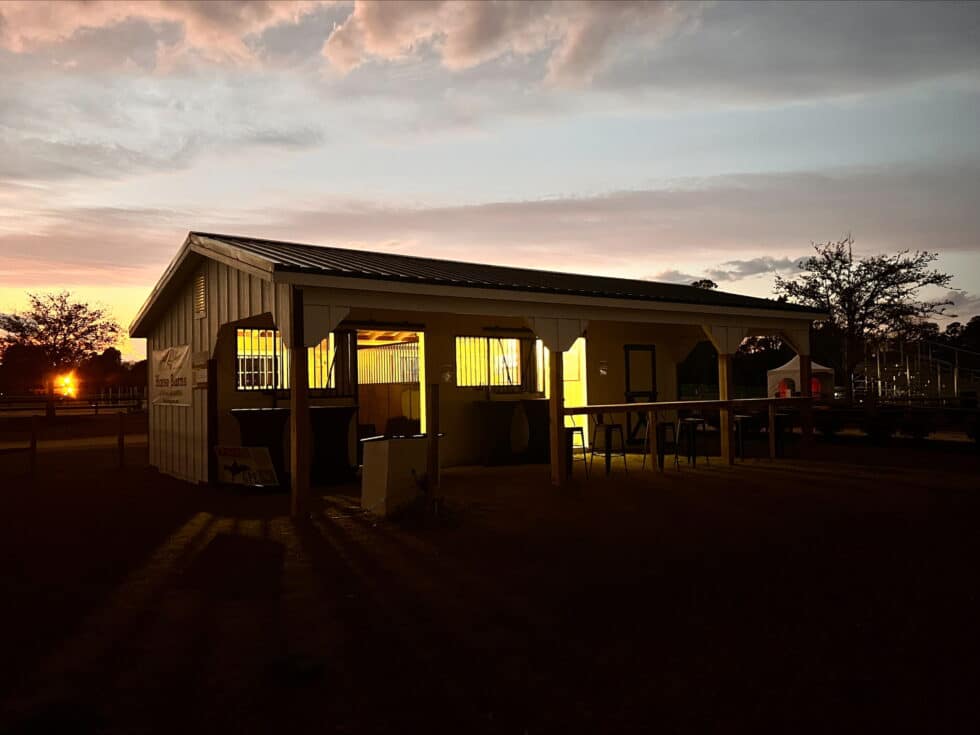 12x32 Shed Row Barn - Image 4