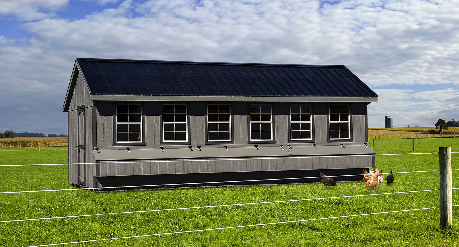 large coop_10x24 a-frame