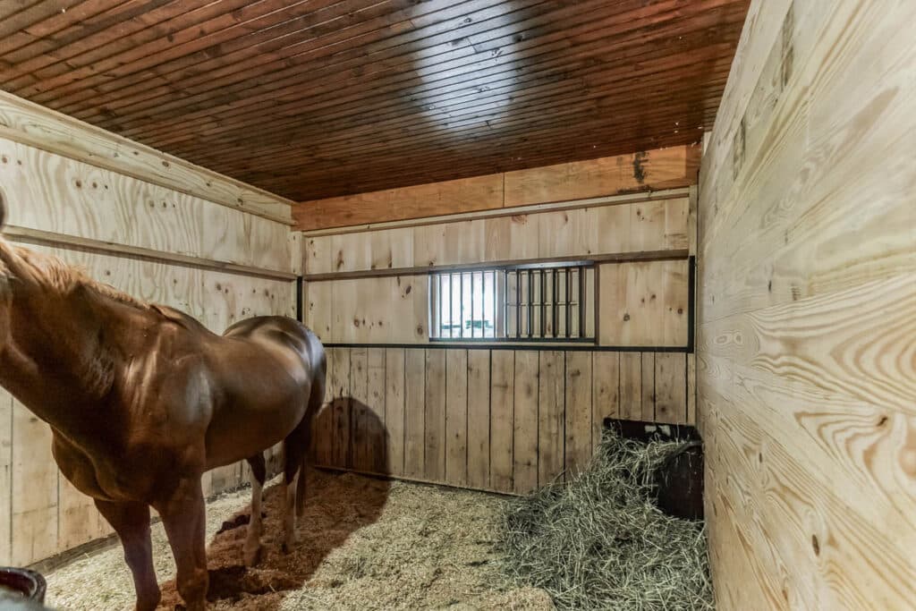 Horse Breeding Barn Design: Stalls, Fencing & Site Planning | Horizon ...
