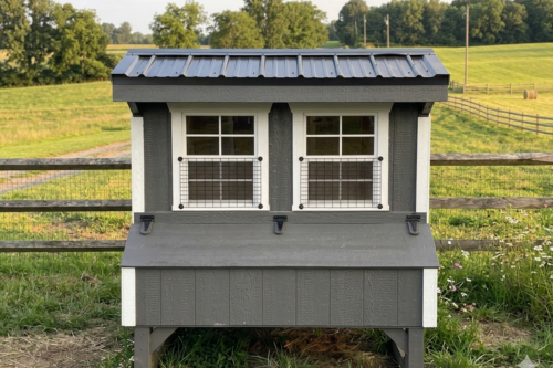 4x6 Quaker Coop - Black Metal Roof - Located in Mooresville, NC