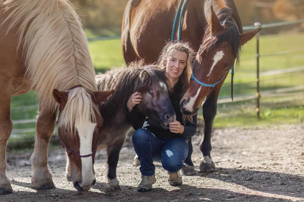 The New Horse Barn – The Importance of Planning Ahead