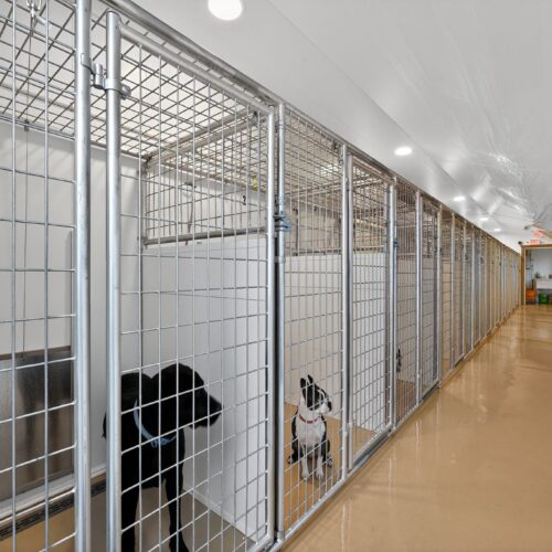Kennel Facility Aisle 2