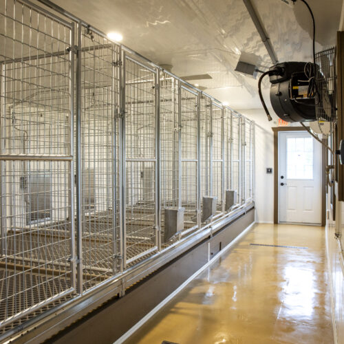 Kennel Facility Aisle 1