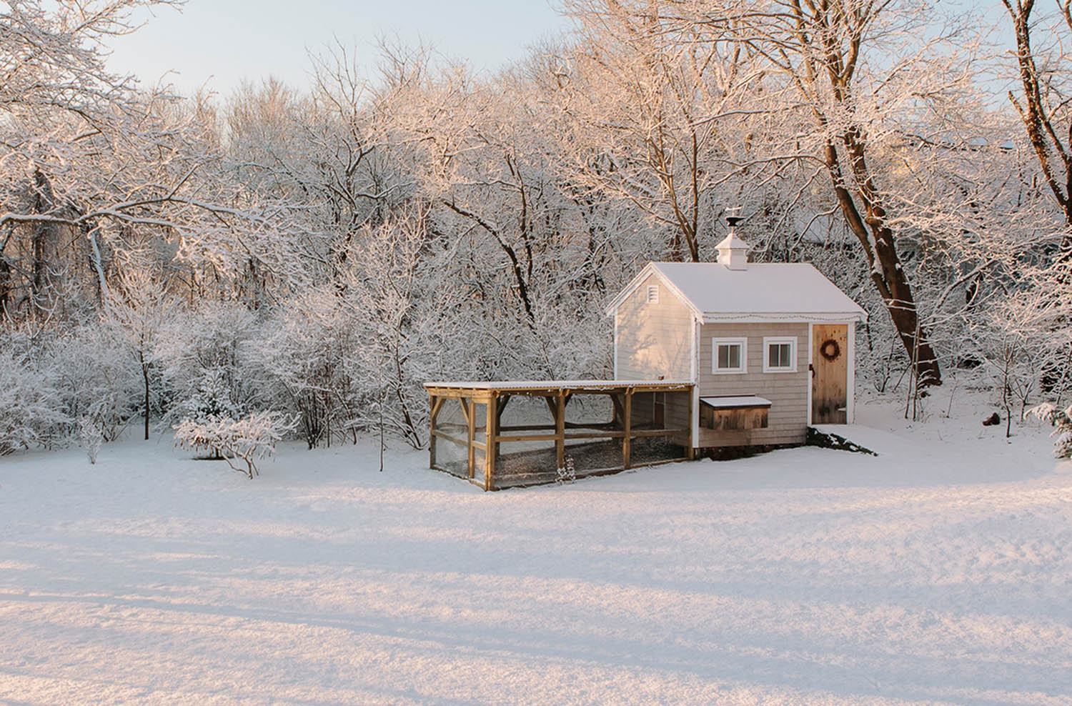 Insulated Chicken Coop after winter Storm