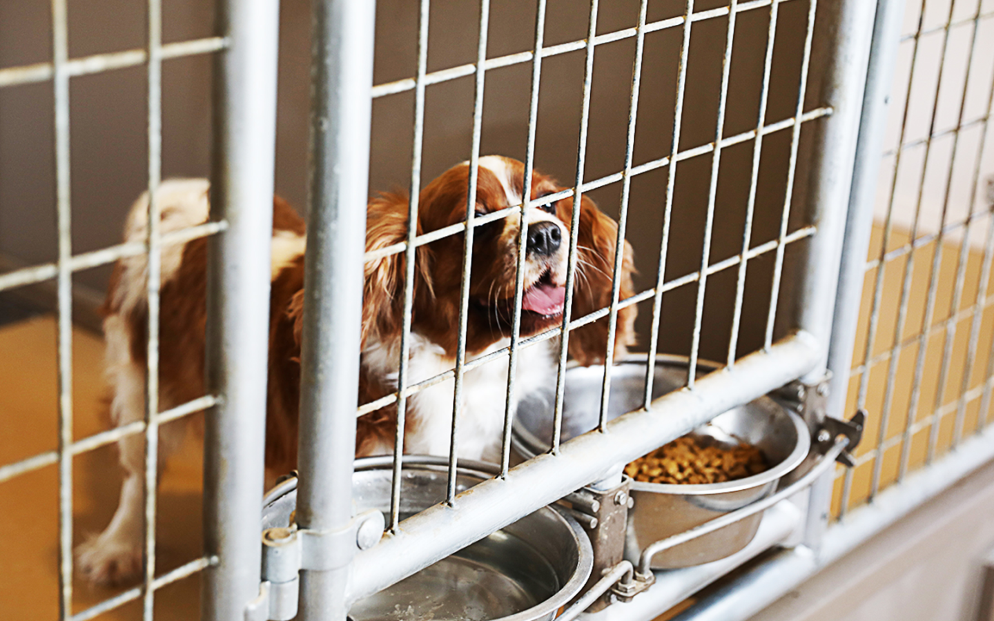 14x24 interior-size 1