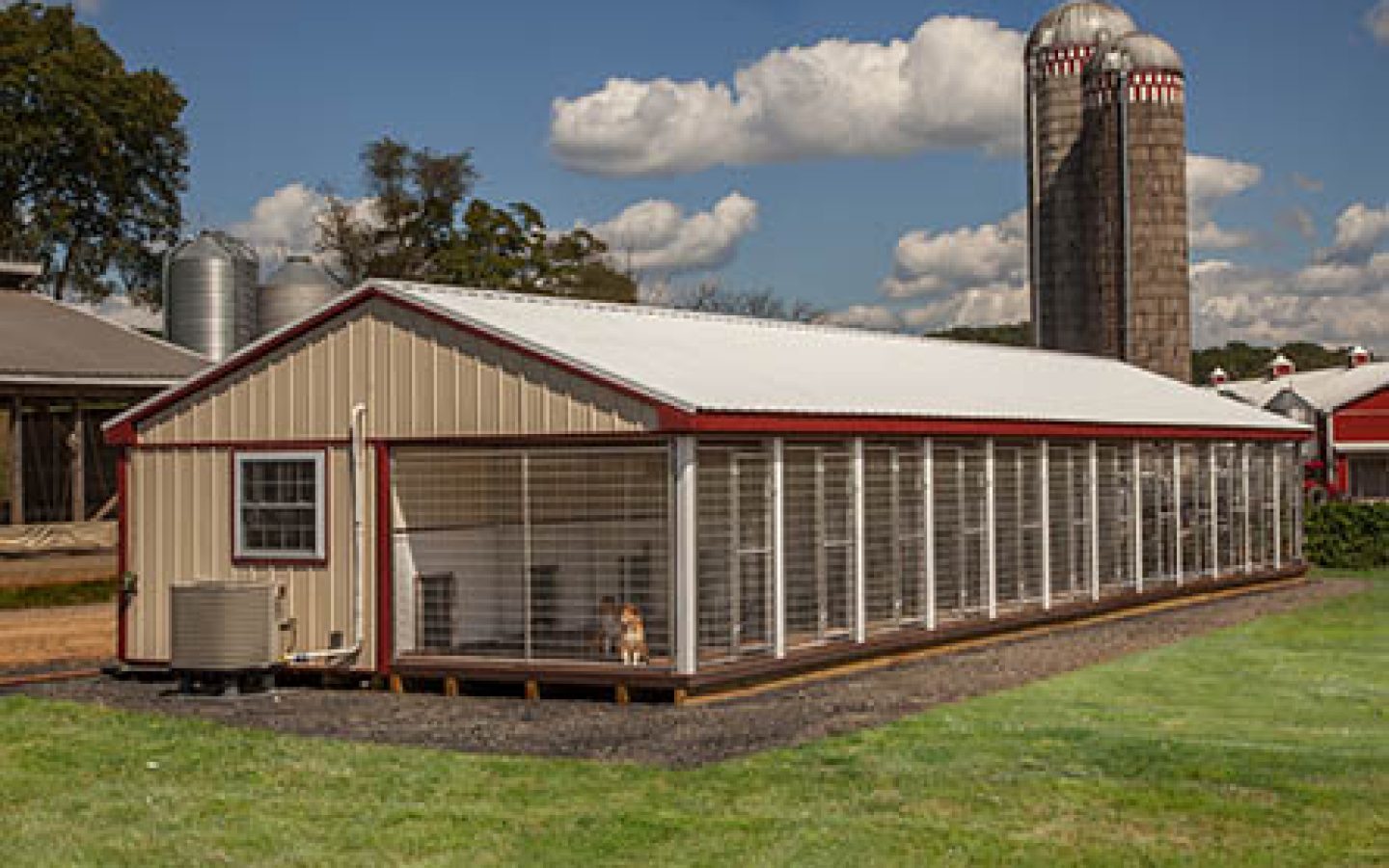 20x60-12-box-Kennel