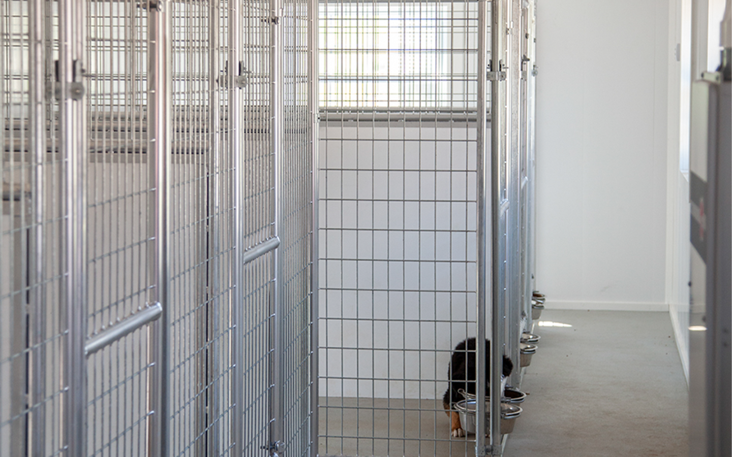 20x60 interior-size 1