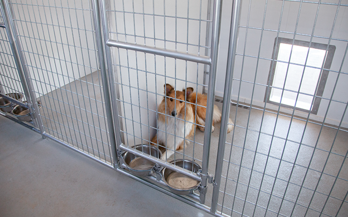 20x60 interior-size 2